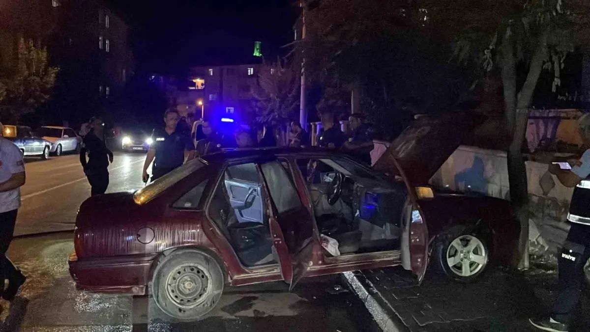 Park Halindeki Otomobil Kaldırıma Çıkarak Yandı