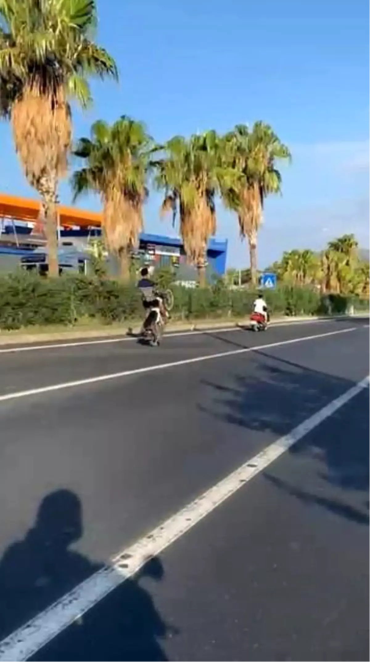 Tek Tekerli Tehlikeli Şov