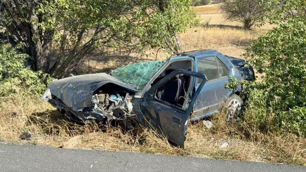 Ağaca Çarpan Otomobilde 3 Kişi Yaralandı