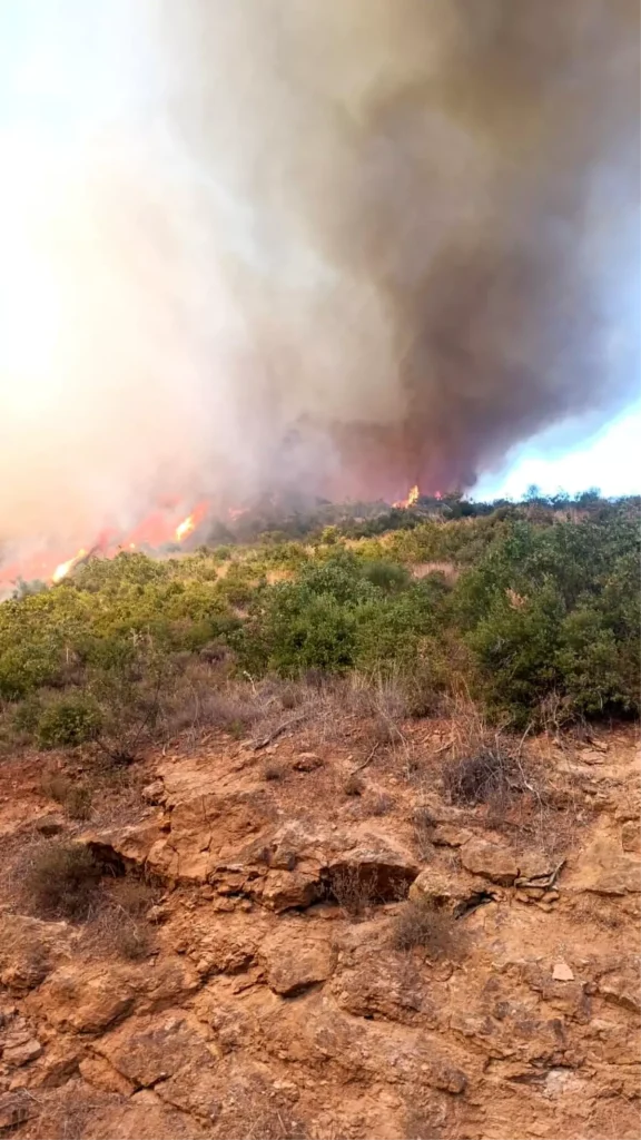 “Balıkesir’de Trajik Kaza: Otomobil Yangını Ormana Sıçradı”