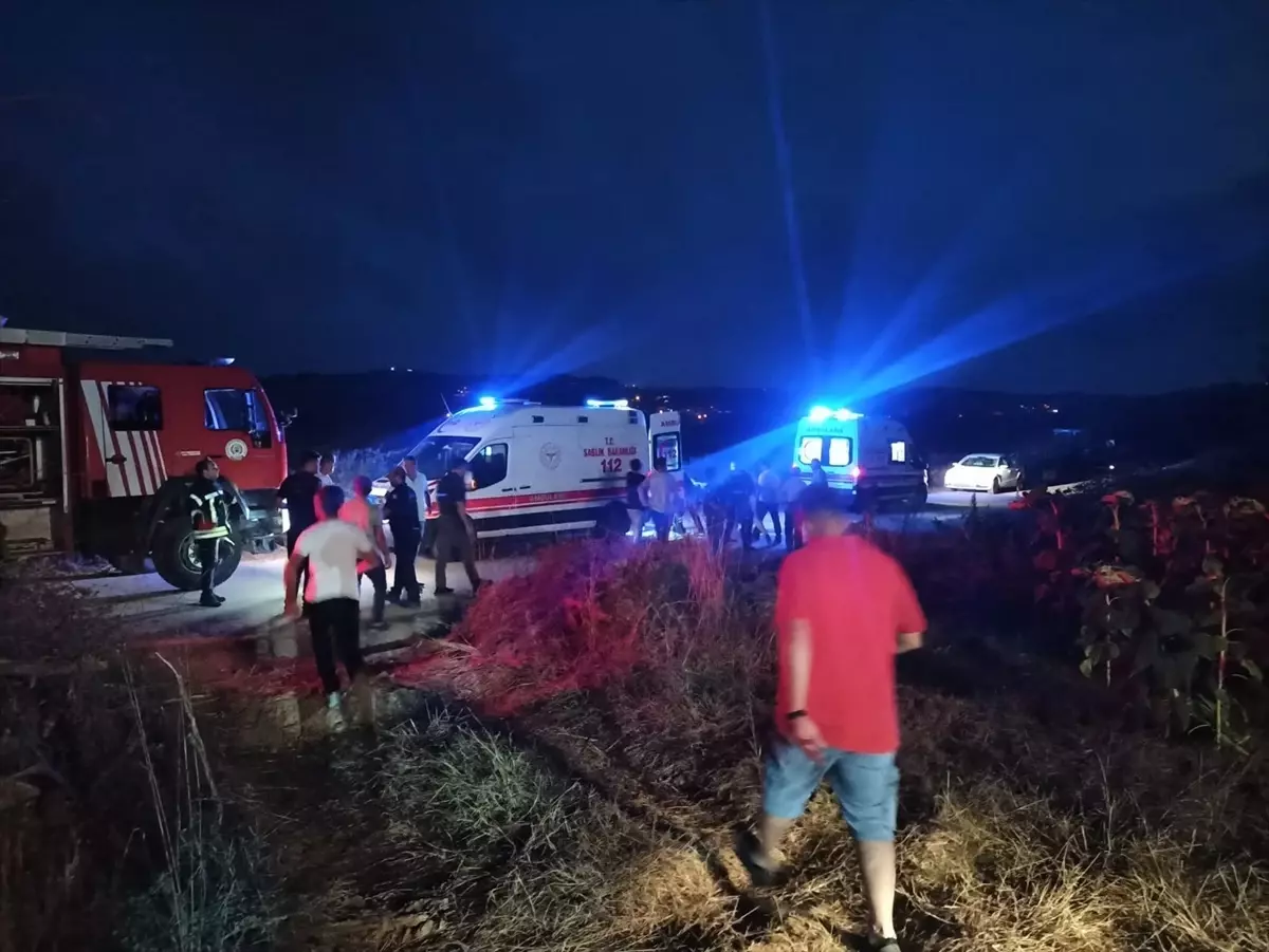 Kandıra’da Ağaç Kesen Kişi Trajik Kazada Hayatını Kaybetti