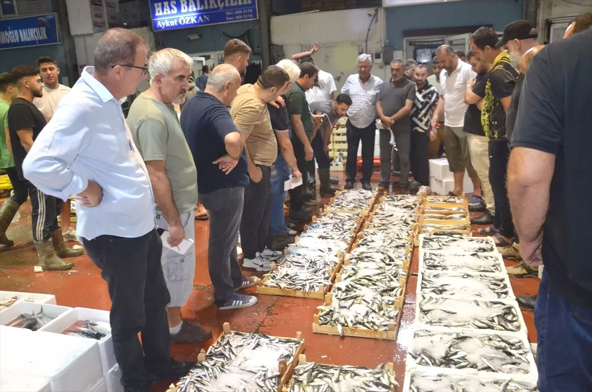 Kocaeli’de Yeni Balık Sezonu İlk Mezadı Gerçekleşti