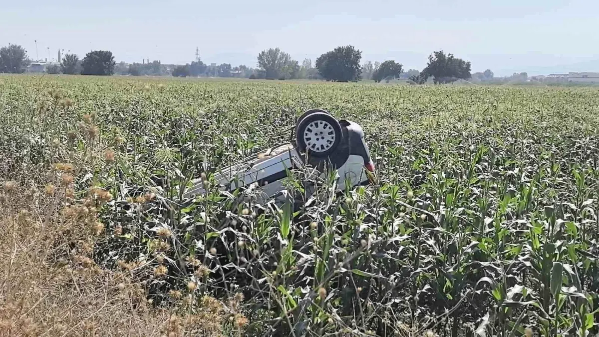 Hafif Ticari Araç Takla Atıp Mısır Tarlasına Uçtu