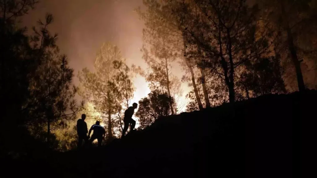 Köyceğiz Orman Yangınında Denizli Ekibi Tehlike Atlattı