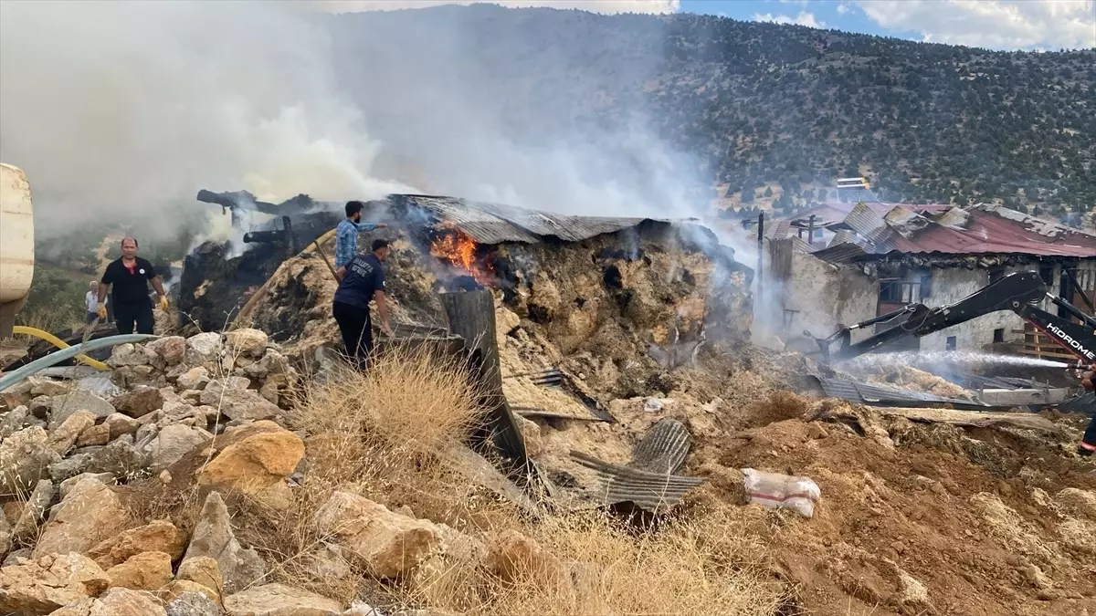 Malatya’da Ahır Yangını: 10 Büyükbaş Hayvan Telef Oldu