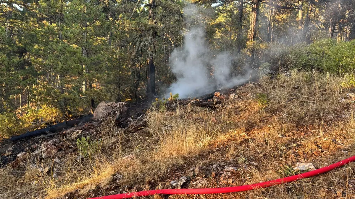 Manisa’da Orman Yangını Kontrol Altına Alındı