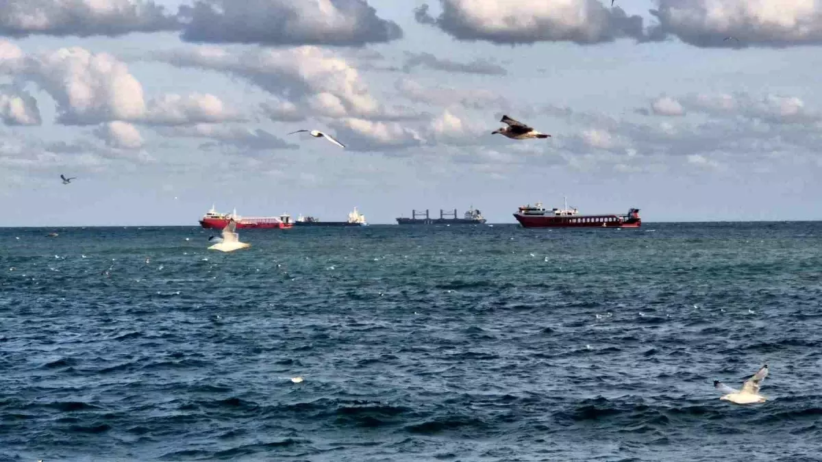 Poyraz Marmara Denizi’nde Ulaşımı Felç Etti