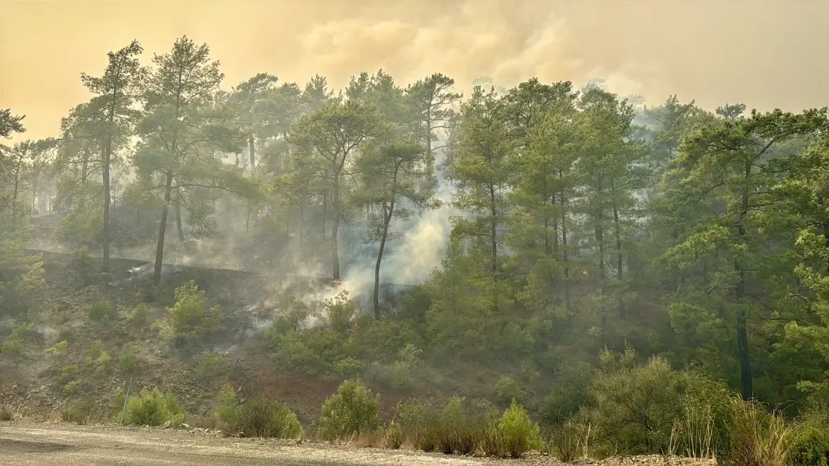 Muğla Köyceğiz’de Ormana Yangını Kontrol Altında