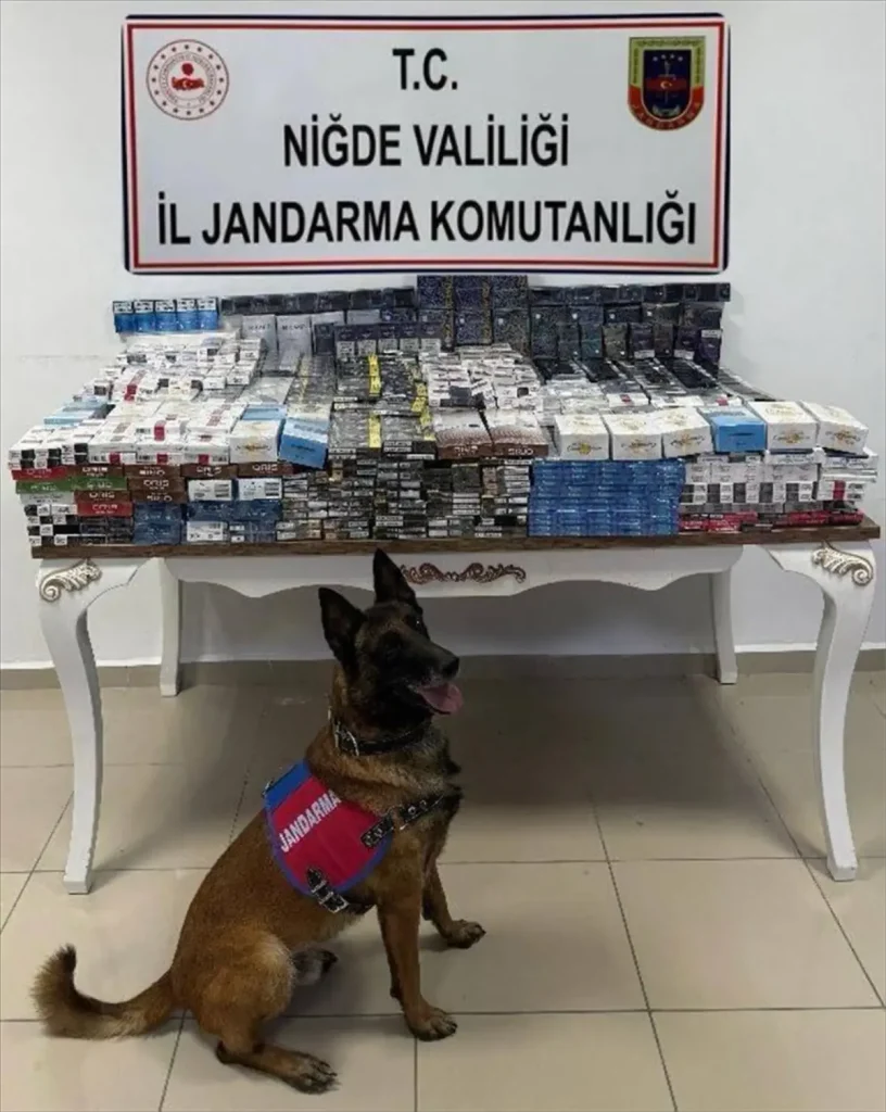 Kaçak Sigara Operasyonu: 3 Bin Paket Ele Geçirildi