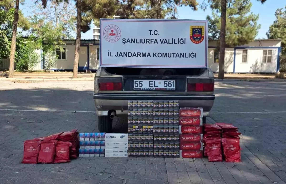 Kaçak Sigara Operasyonu: Şanlıurfa’da Bin Paket Ele Geçirildi