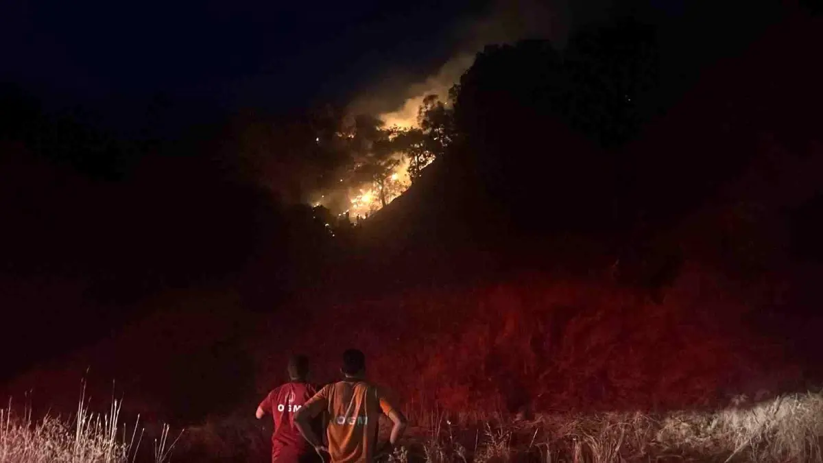 Aydın’da Zeytinlik Alanda Yangın Kontrol Altına Alındı