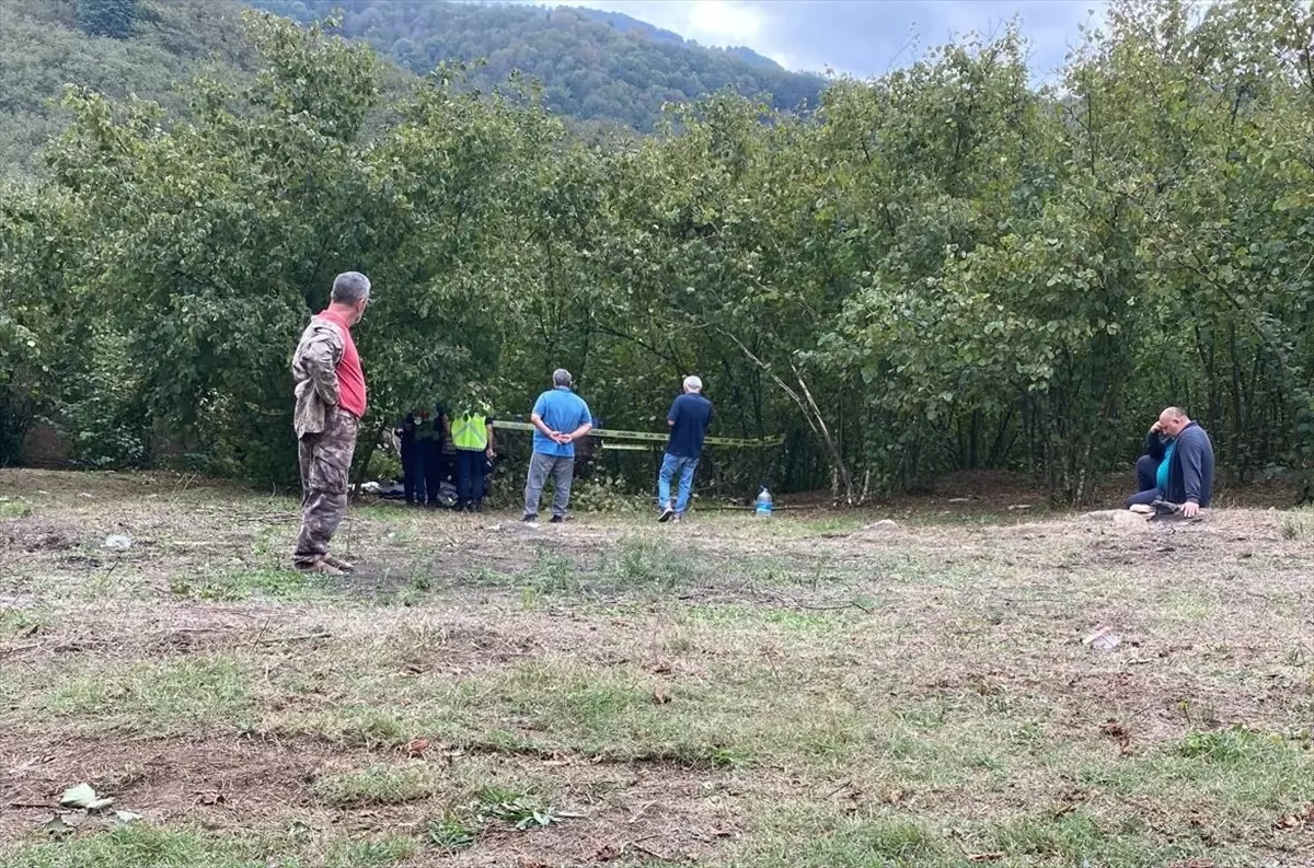 Trafik Kazalarında Güvenlik Önlemleri Gözden Geçirilmelidir
