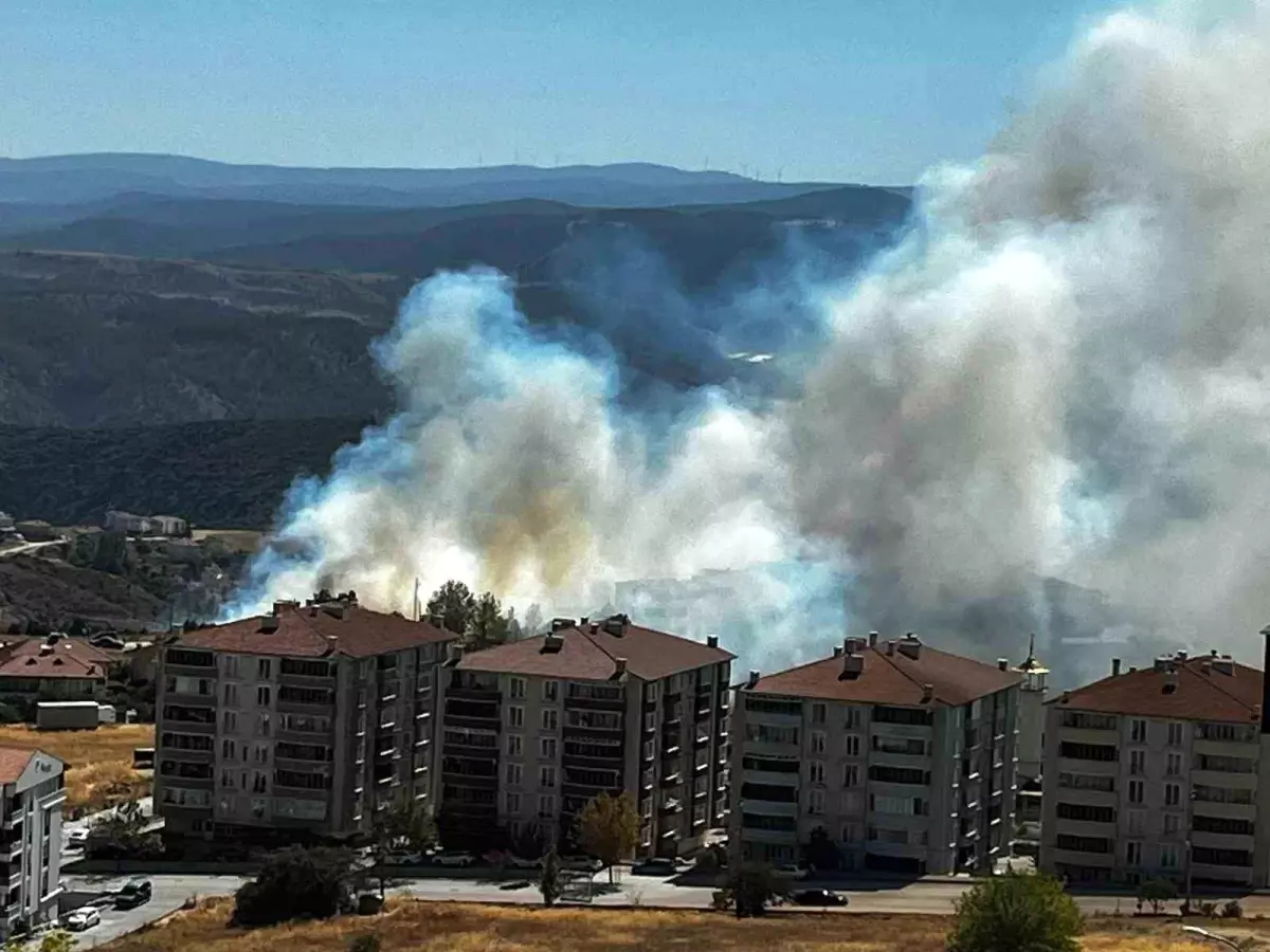 Kıvılcım Makiliği Kül Etti: 30 Dönüm Yanıp Kül Oldu