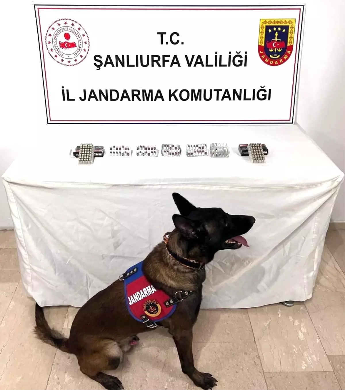 Şanlıurfa’da Uyuşturucu Operasyonu: 60 Hap Ele Geçirildi