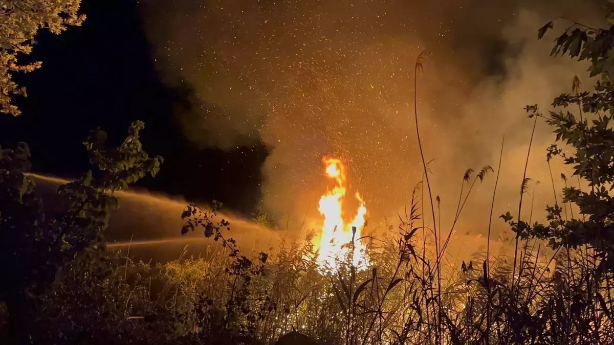 Sazlık Yangını Kontrol Altına Alındı