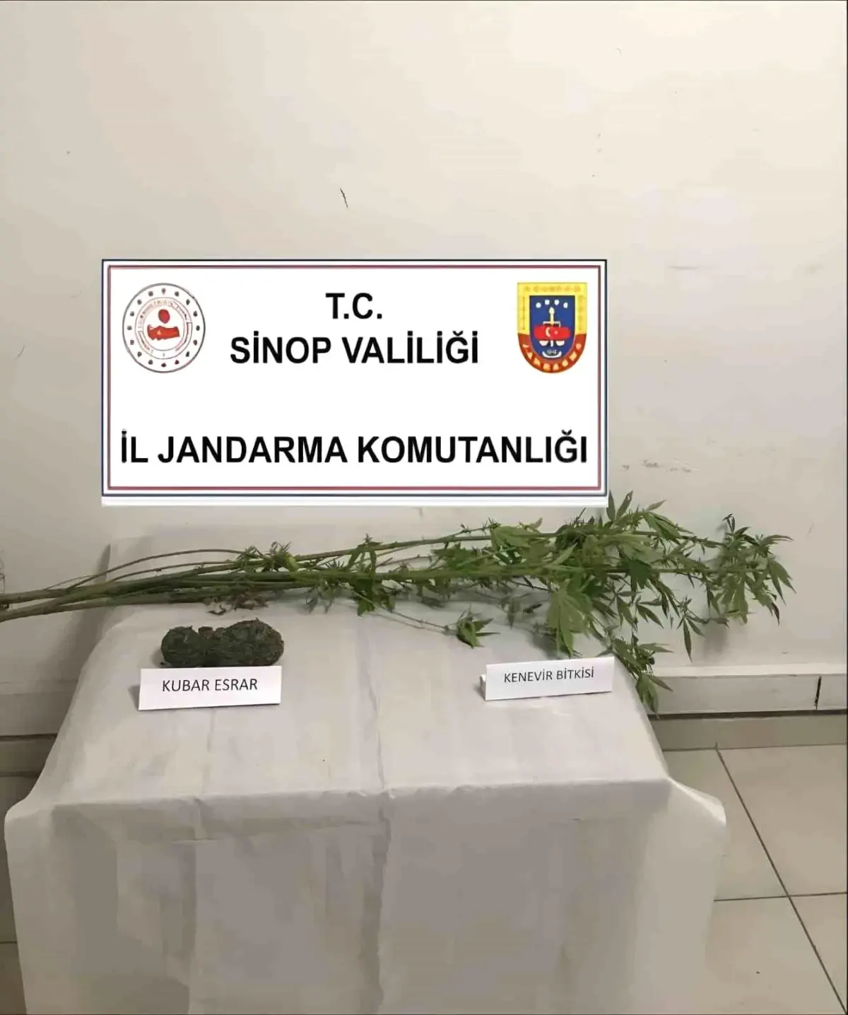 Sinop’ta Uyuşturucu Operasyonu: Kenevir ve Esrar Ele Geçirildi