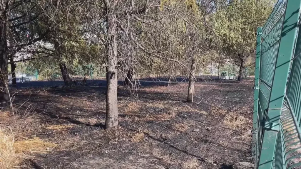 Şişli’de Ağaçlık Alanda Büyük Yangın