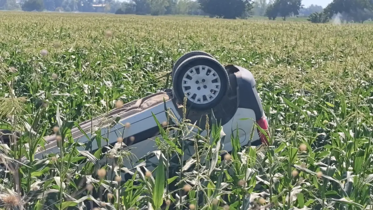 Hafif Ticari Araç Mısır Tarlasına Uçtu: Sürücü Yaralandı