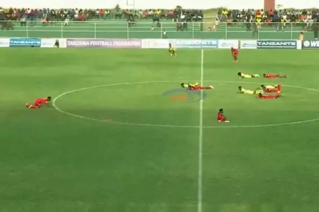 Tanzanya Ligi Maçında Arı Sürüsü Paniği