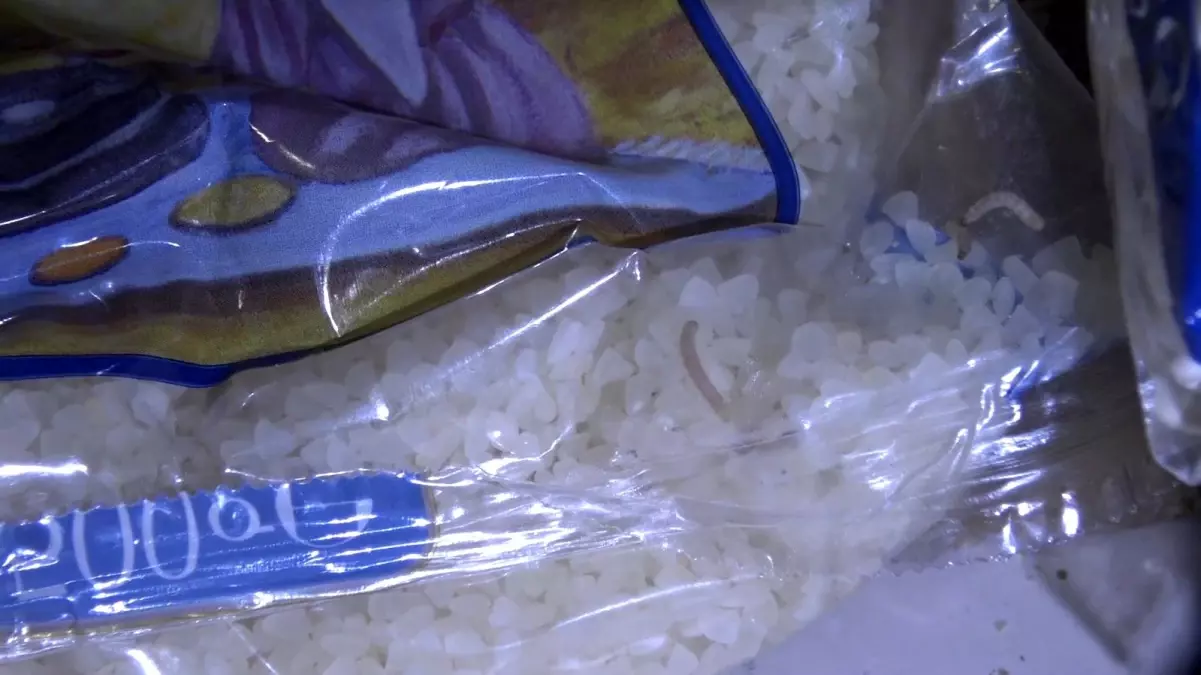 Marketlerde Kurtlanmış ve Boceklenmis Ürünler Ele Geçirildi