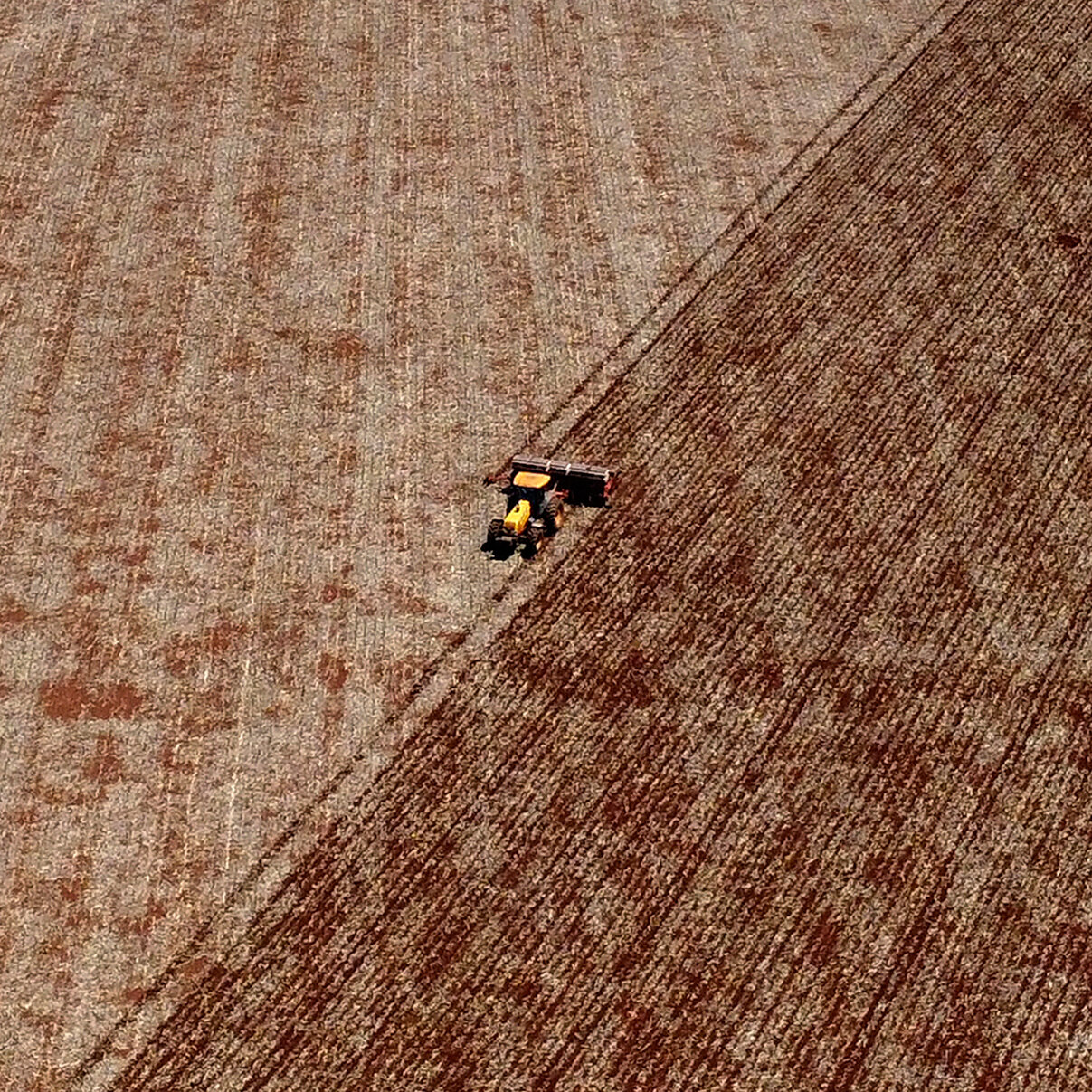 Trump’s Tariff Tussle with China Threatens Brazil’s Pristine Wilderness