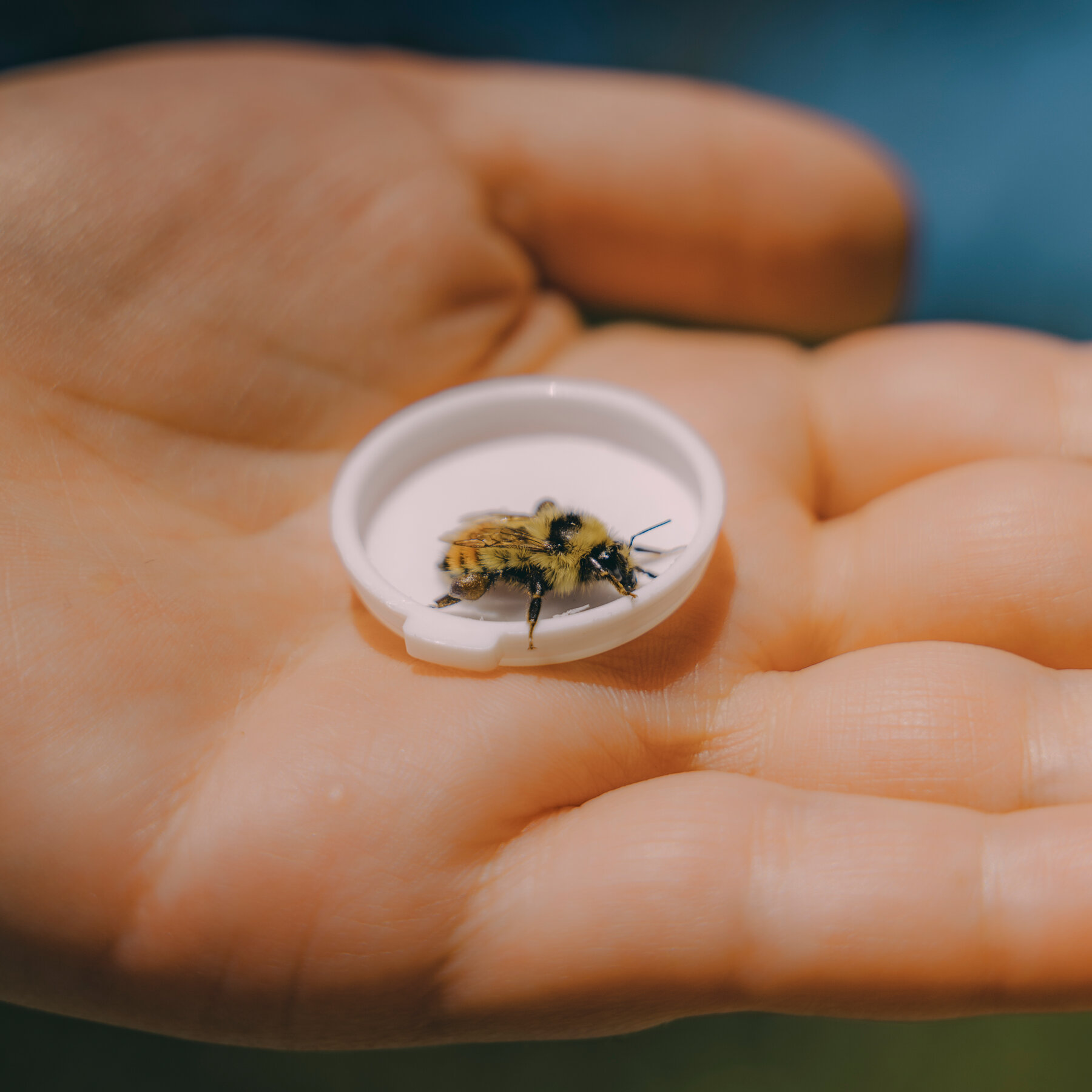 The Human Impact of Research Cut Short: Share Your Story