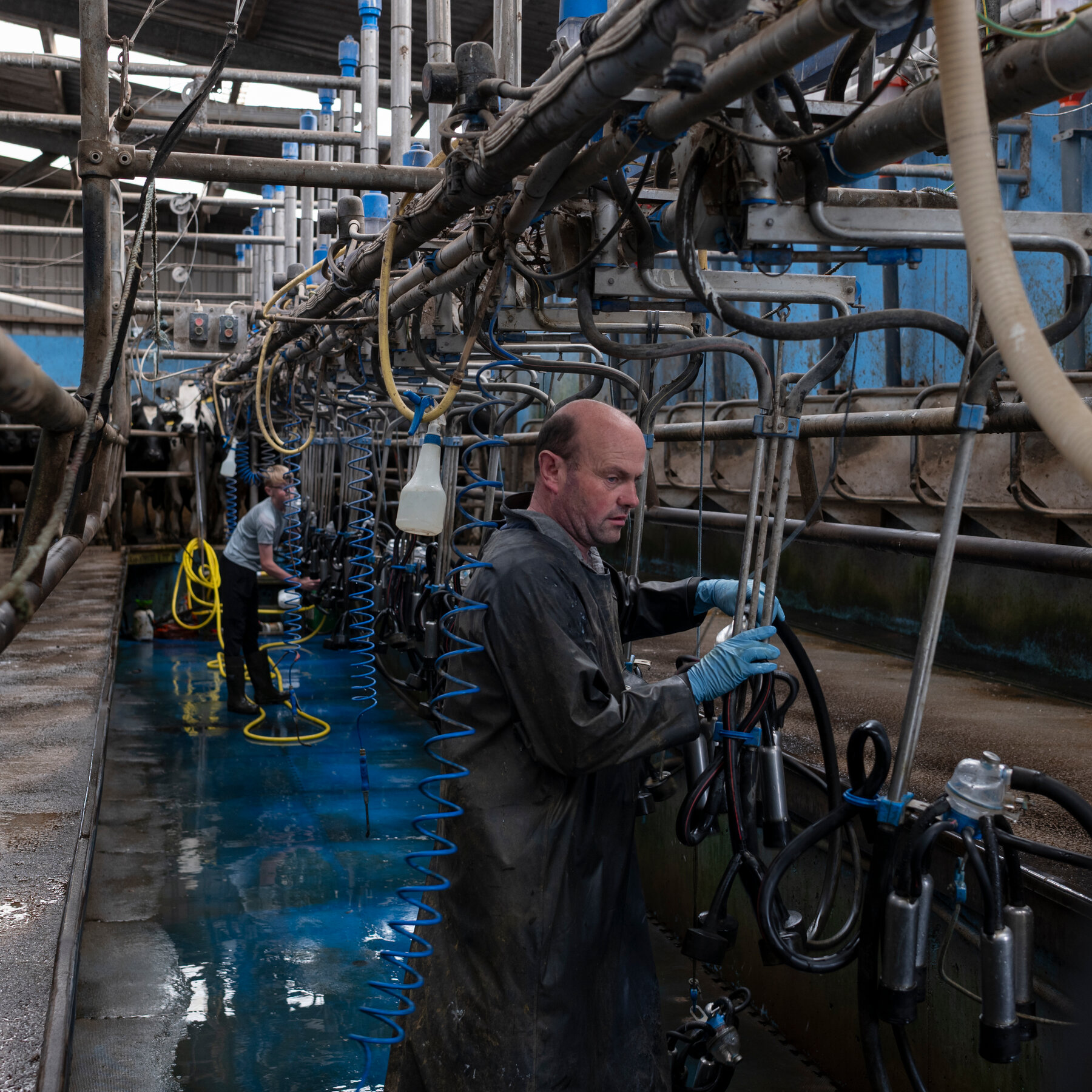 Irish Factory Thrives on China’s Baby Boom, But Nestlé’s Sudden Exit Leaves Town Reeling