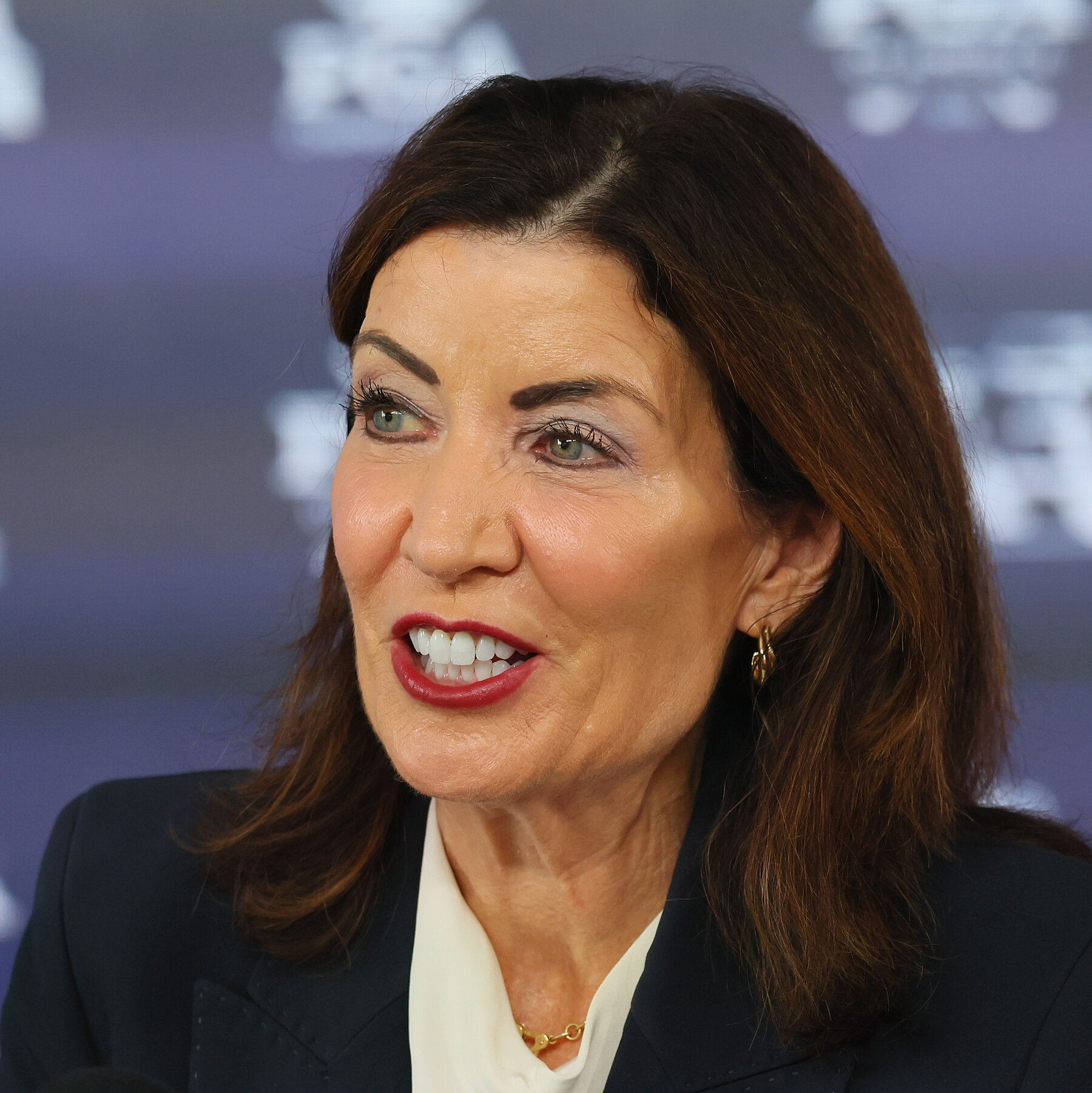 N.Y. Democrats Urge Hochul to Reject Pipeline Over Climate Concerns