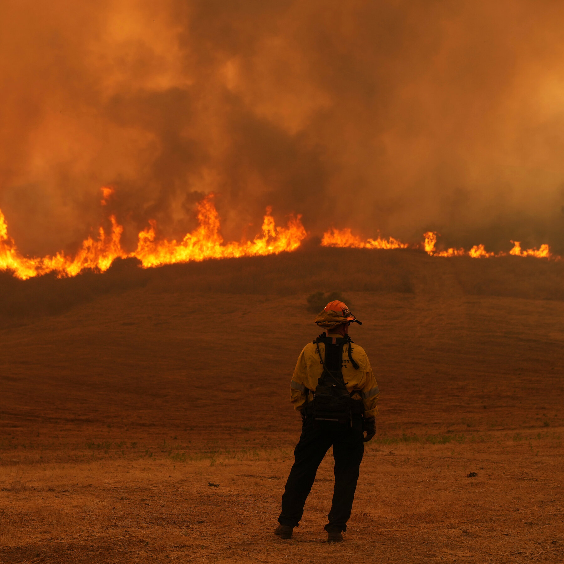 Costly and Deadly Wildfires Really Are on the Rise, New Research Finds