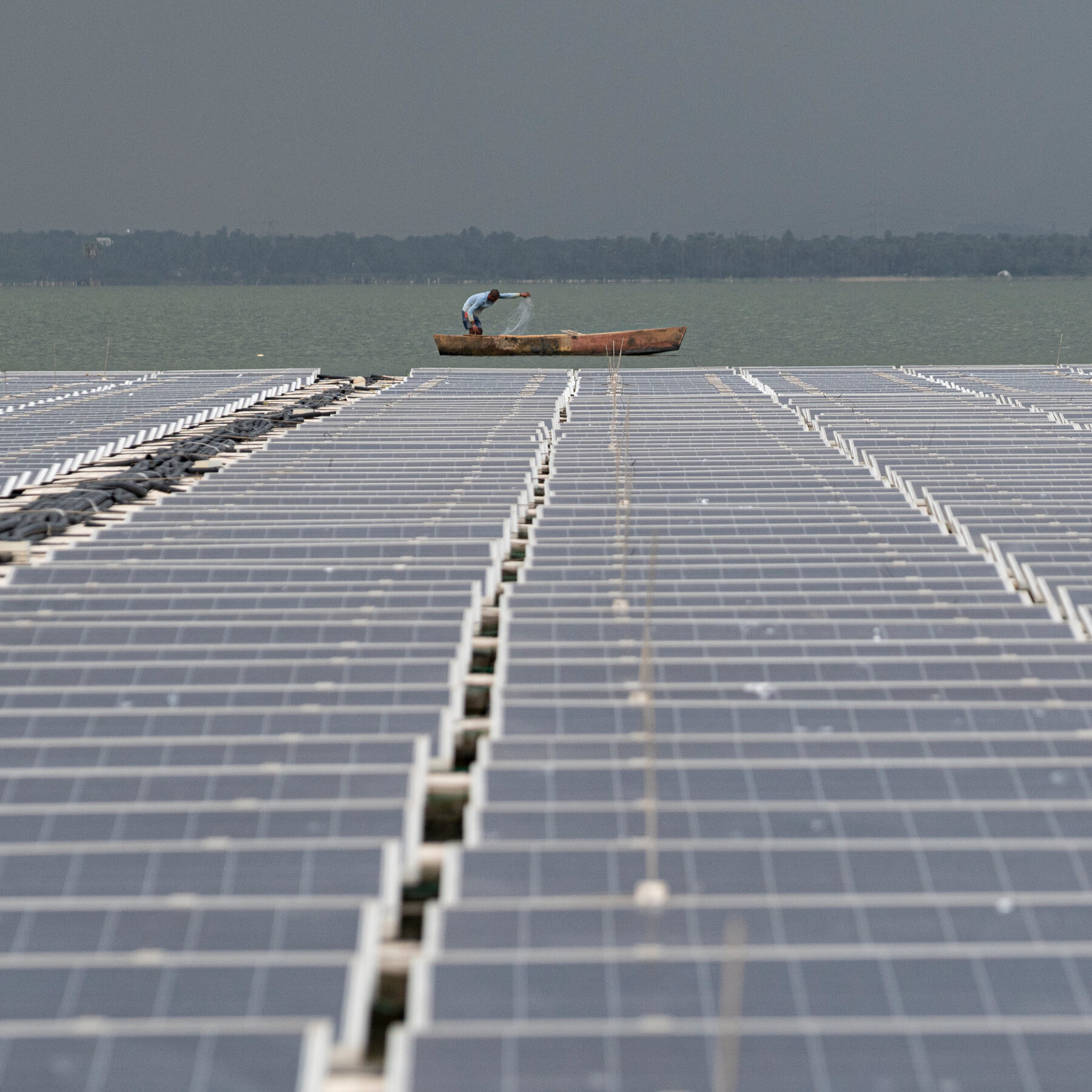 Renewables Surpass Coal in Global Electricity Generation: A Potential Turning Point