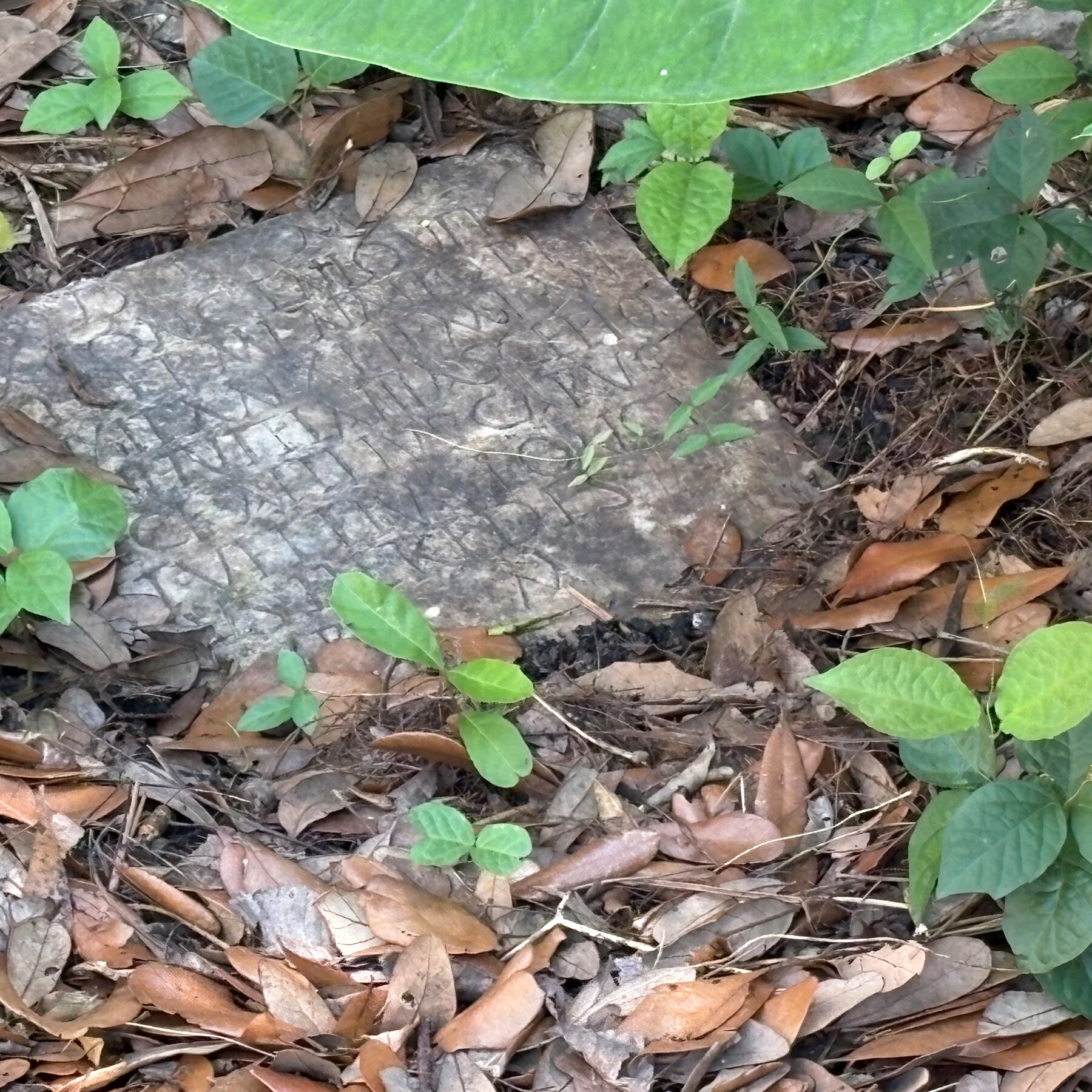 Ancient Roman Gravestone Found in New Orleans Backyard Touches Off a Mystery