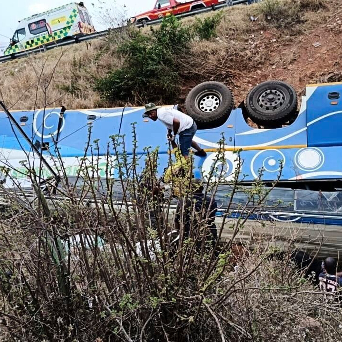 Tragedy on South African Roads: Over 40 Lives Lost in Devastating Bus Crash