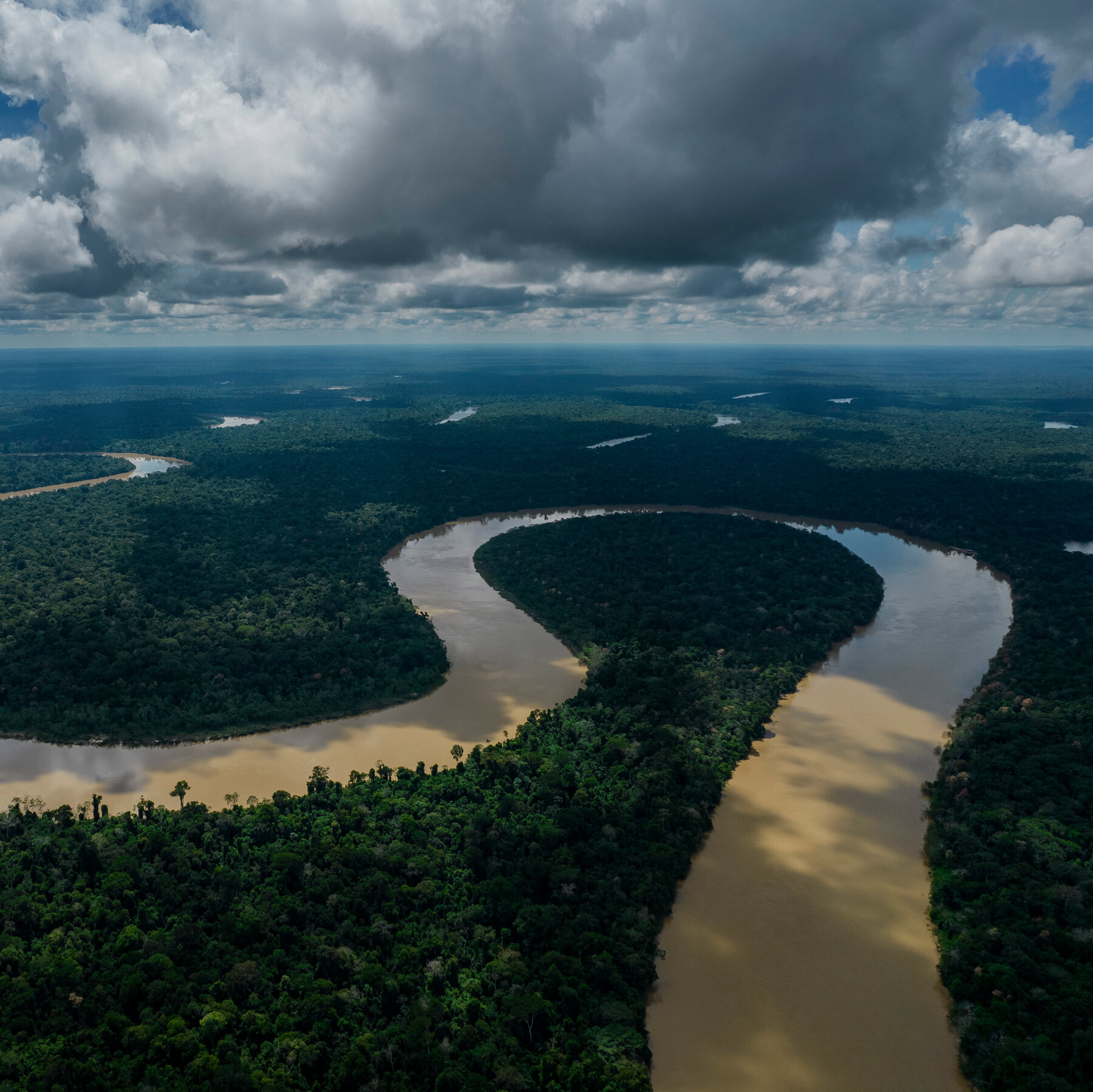 To Meet Pledges to Save Forests, Spending Must Triple, U.N. Report Says