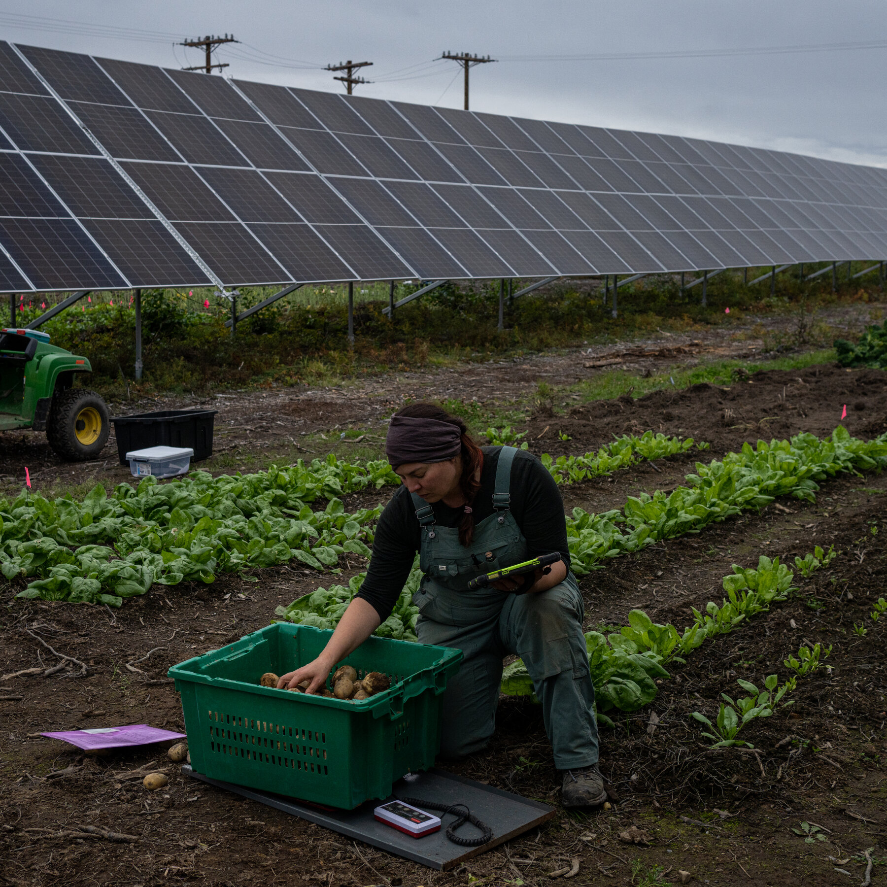 An Alaska Solar Farm Produces Food, Too