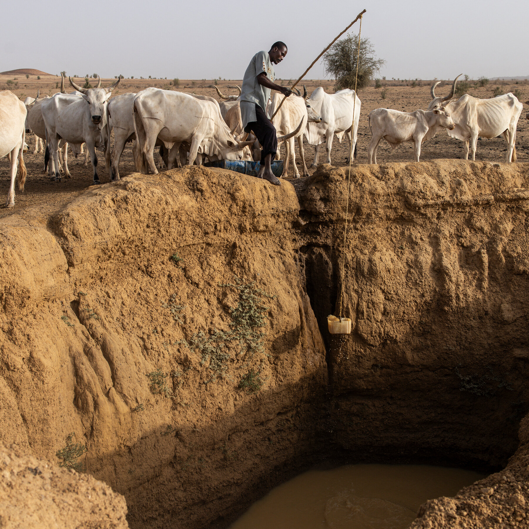 Climate Aid to Vulnerable Nations Sees Alarming Decline, U.N. Warns