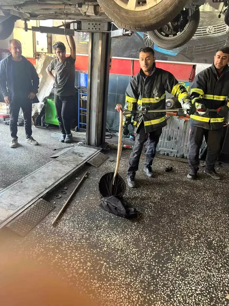 “Batman’da Otomobilin Motoruna Giren Yılan İtfaiye Tarafından Kurtarıldı”