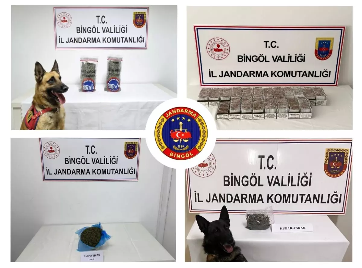Bingöl’de Jandarma Ekiplerinden Kaçakçılığa Karşı Büyük Darbe