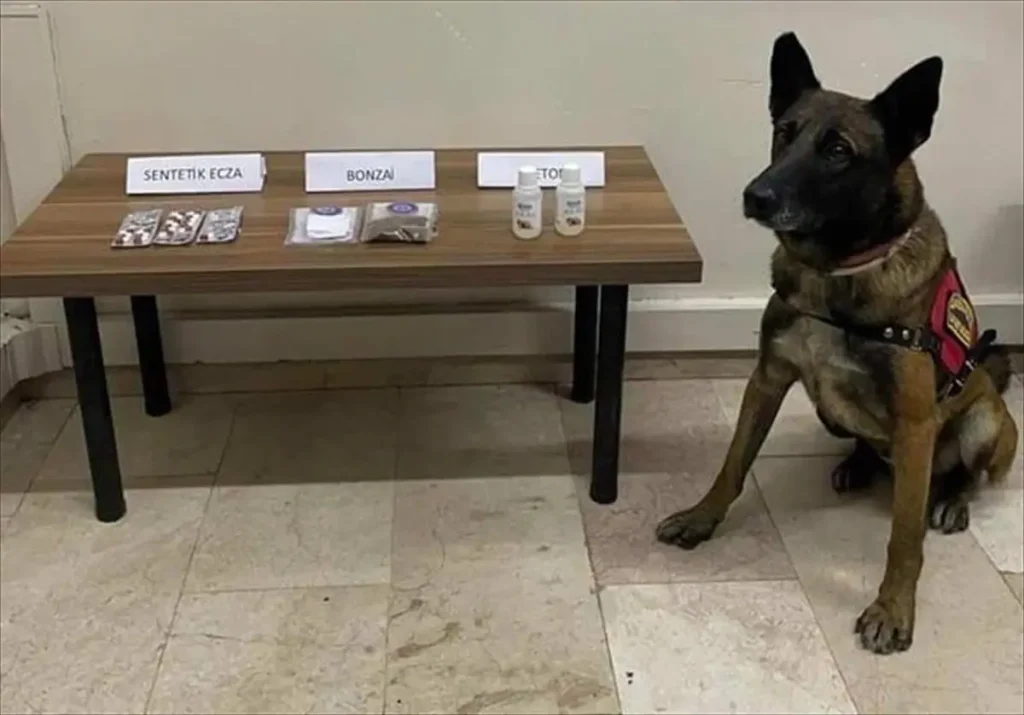 Uyuşturucu Operasyonunda 7 Zanlı Gözaltında