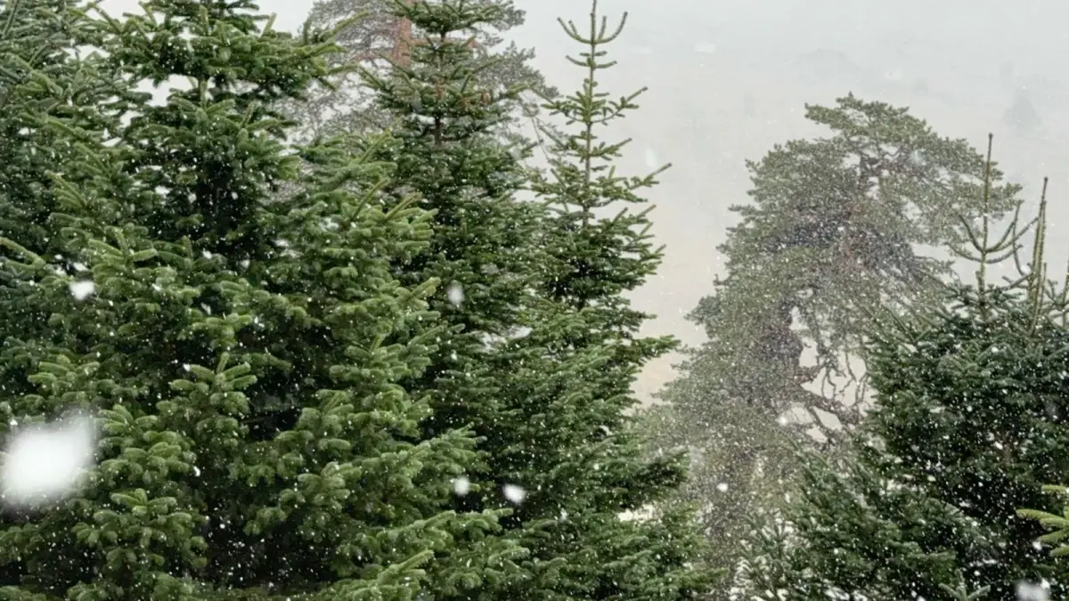 Bolu’nun Yüksek Kesimlerinde Kar Yağışı Etkili Oluyor