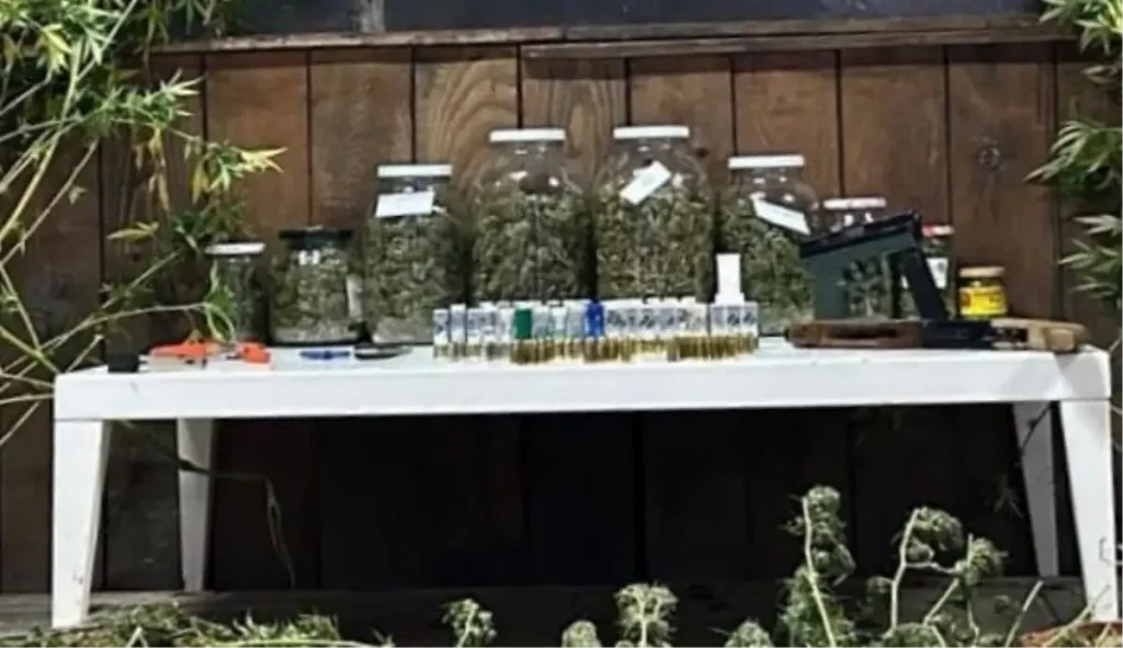 Bursa’da 9 Kilo Esrar Ele Geçirildi, 1 Kişi Gözaltında