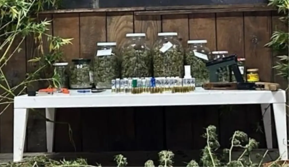 Bursa’da 9 Kilo Esrar Ele Geçirildi, 1 Kişi Gözaltında