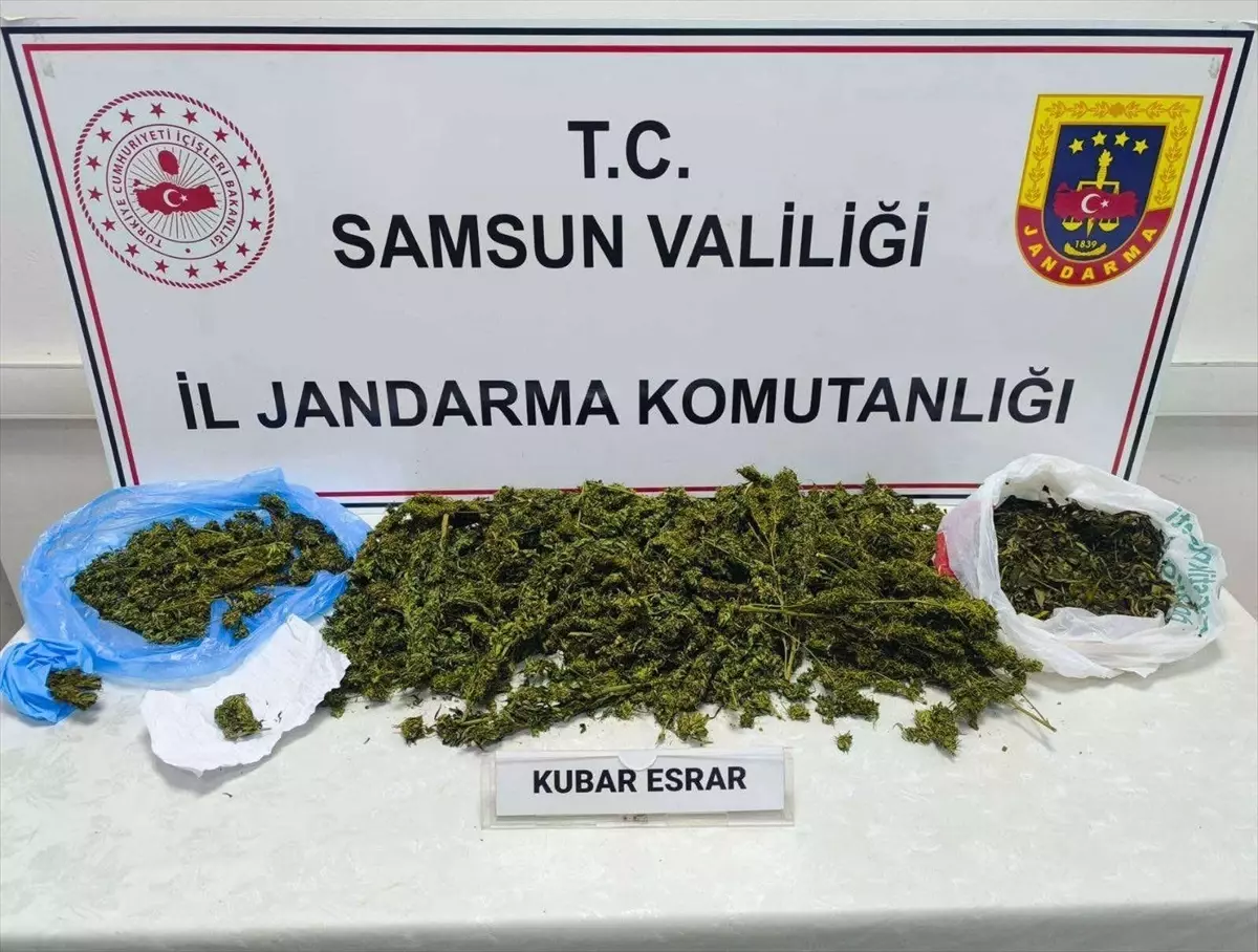 Samsun’da Büyük Uyuşturucu Operasyonu: 1 Gözaltı