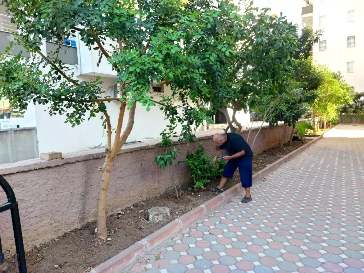 Dedektif Gibi İz Sürüp Telefonunu Bulmaya Çalıştı