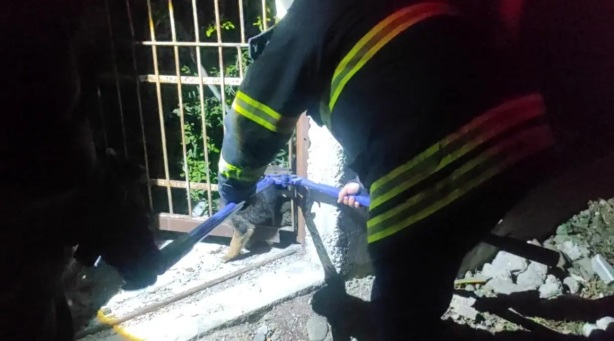 İtfaiye Ekiplerinden Yavru Köpek Kurtarma Operasyonu