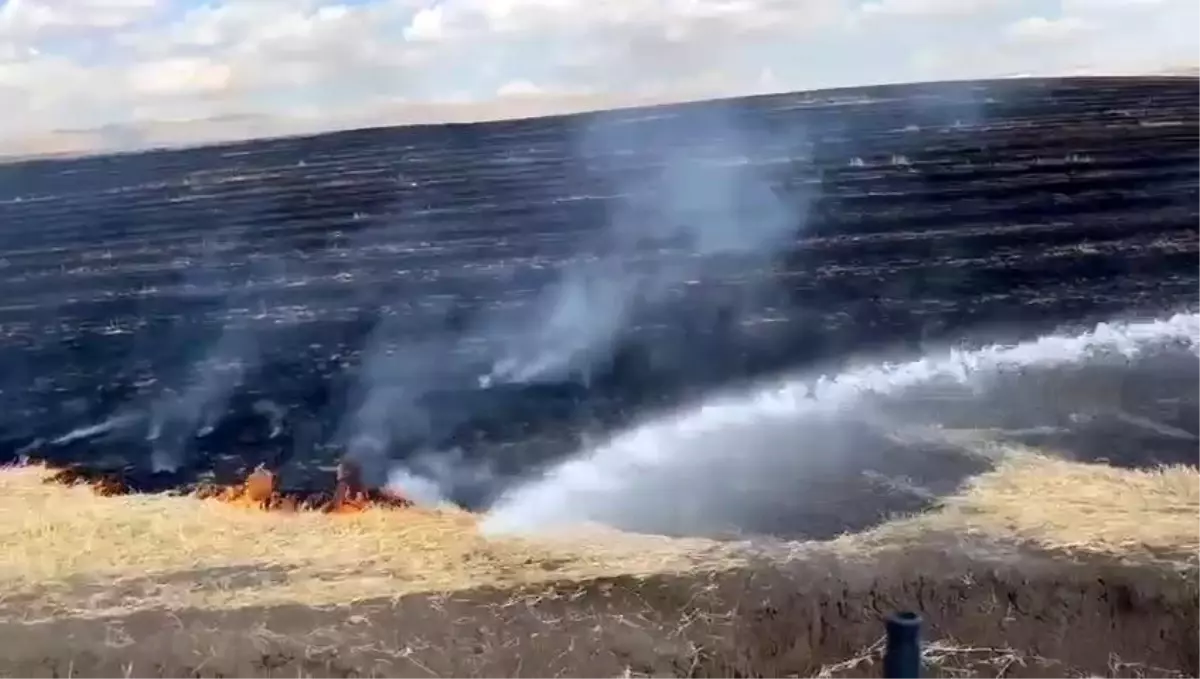 Diyarbakır’da Anız Yangını Kontrol Altına Alındı