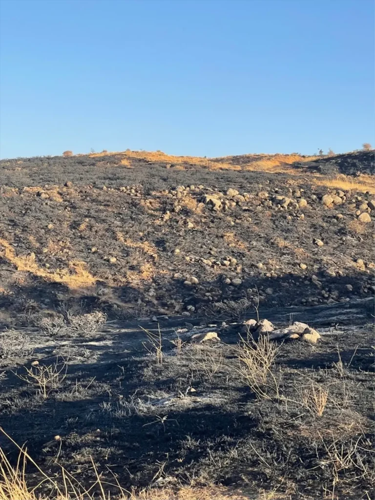 Elazığ’da Ormana Sıçrayan Yangın Kontrol Altına Alındı