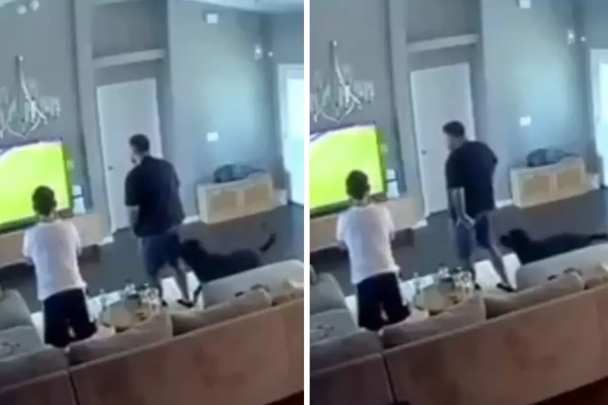 Köpek Isırığı Skandalı Şampiyonlar Ligi Coşkusunu Gölgede Bıraktı