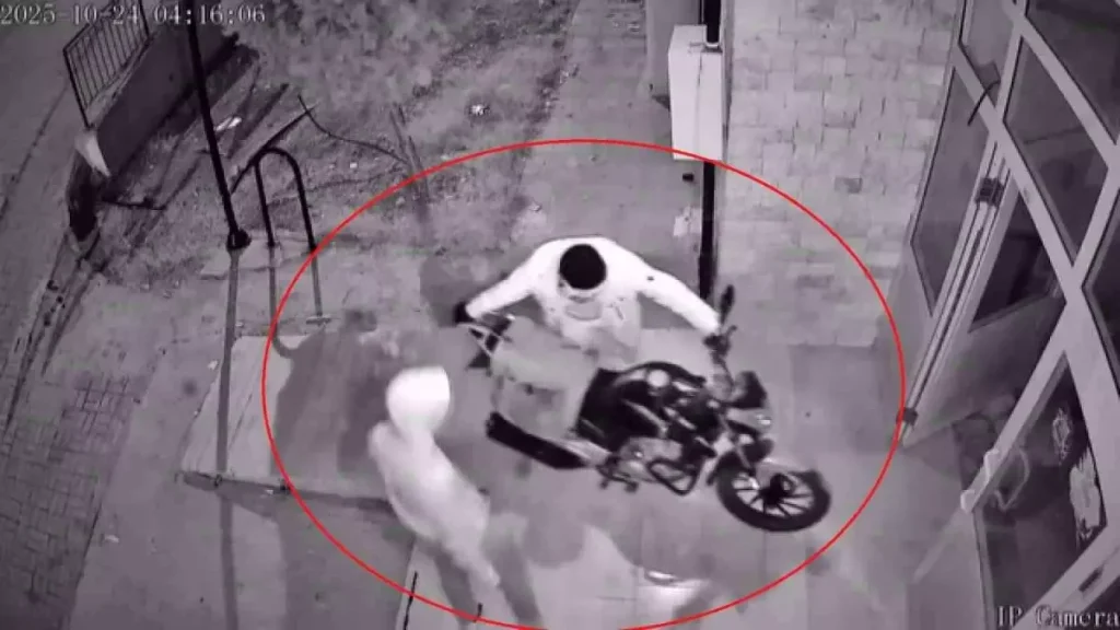 Hırsızlık Güvenlik Kamerasında