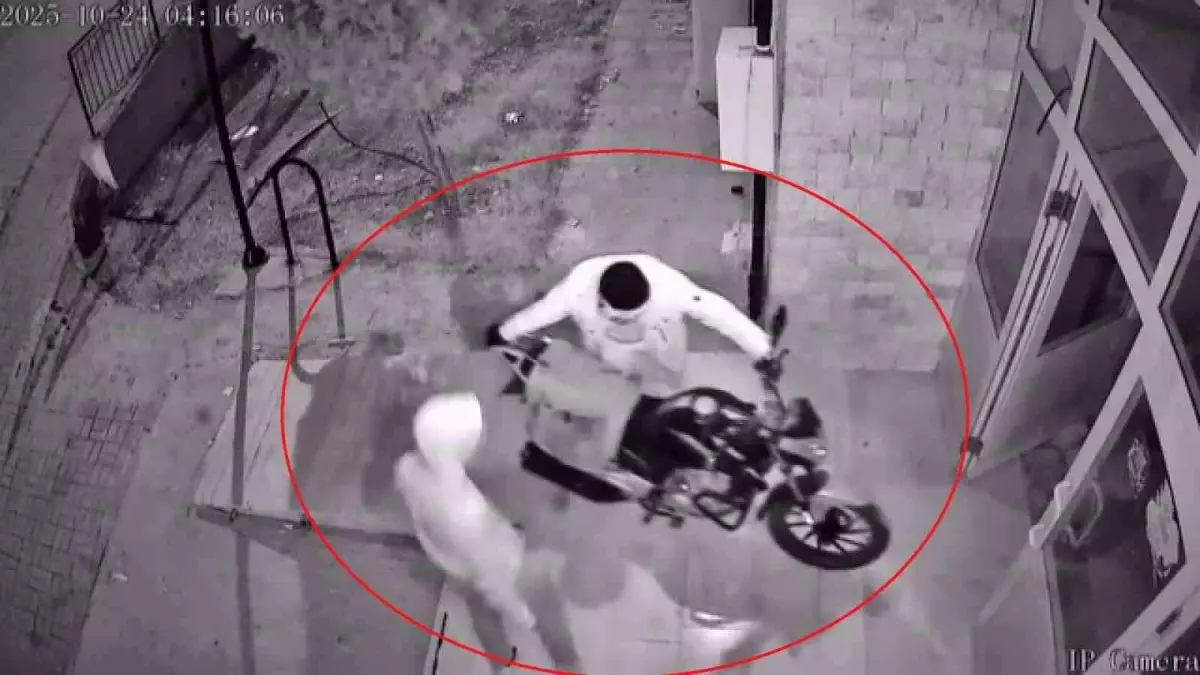 Hırsızlık Güvenlik Kamerasında