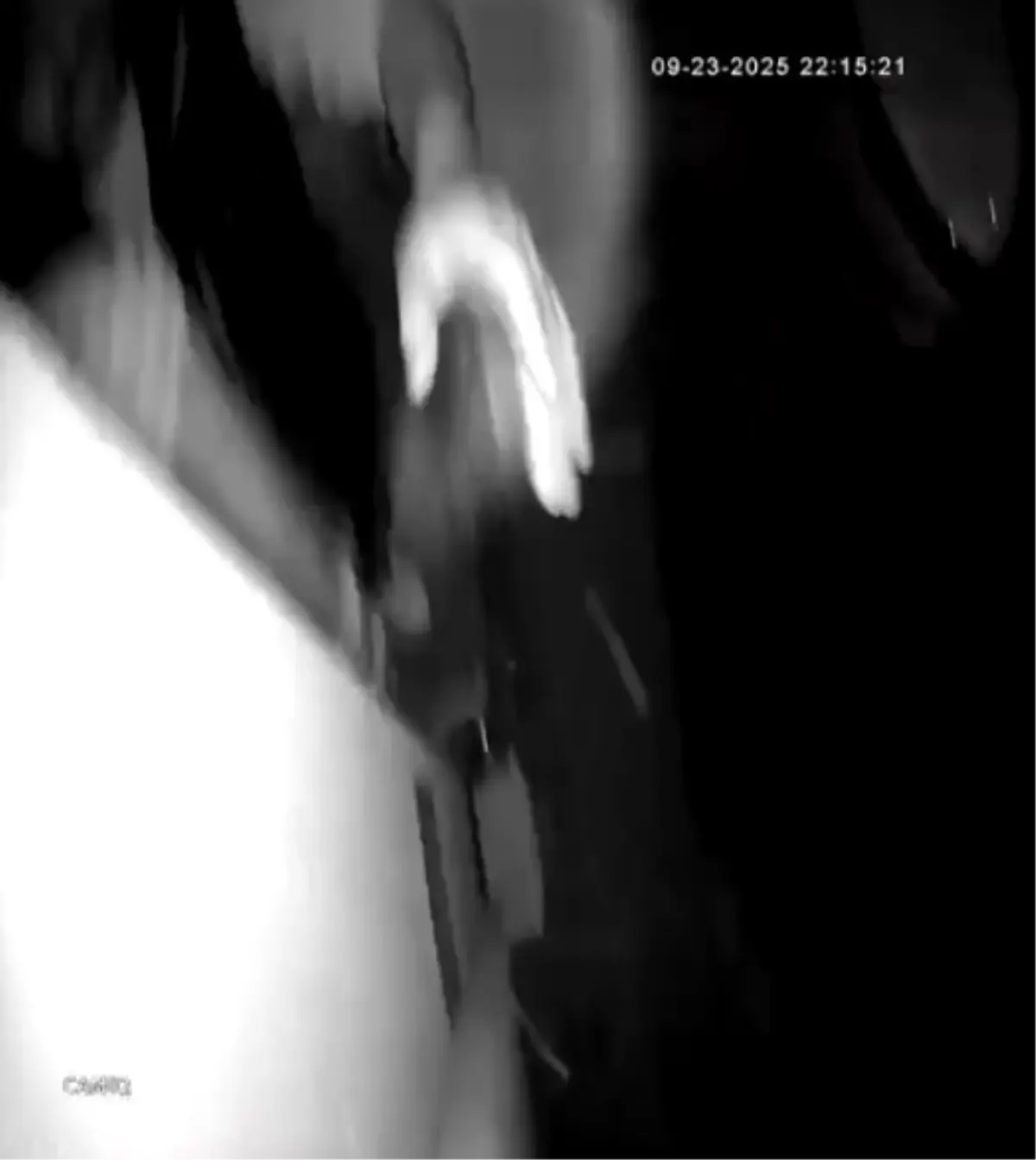 Güvenlik Kamerası Hırsızlığı Şaşkınlık Yarattı